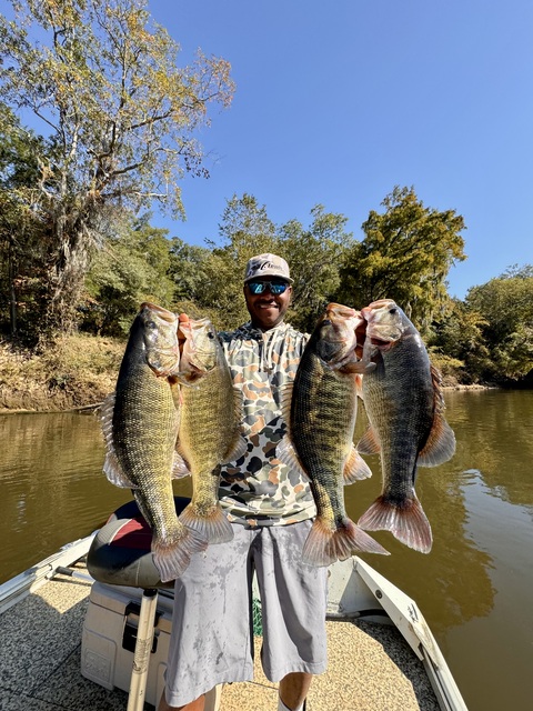 Flint River Shoal Bass Fishing